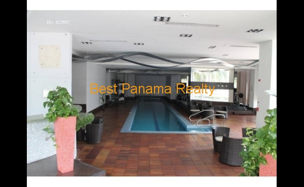 12192438_33ea4c 12192438_33ea4c