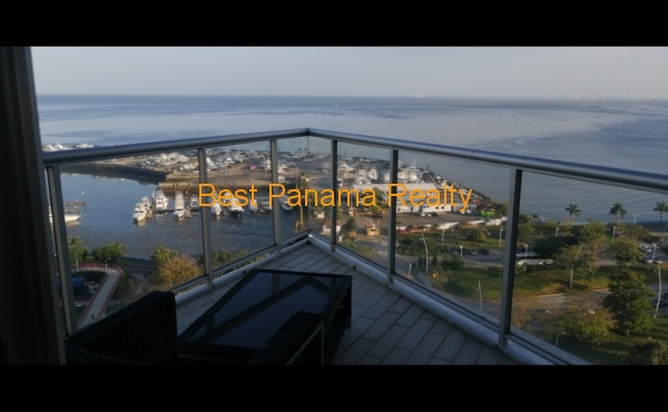 IMG_20210208_173519_resized_20210209_071834565 IMG_20210208_173519_resized_20210209_071834565