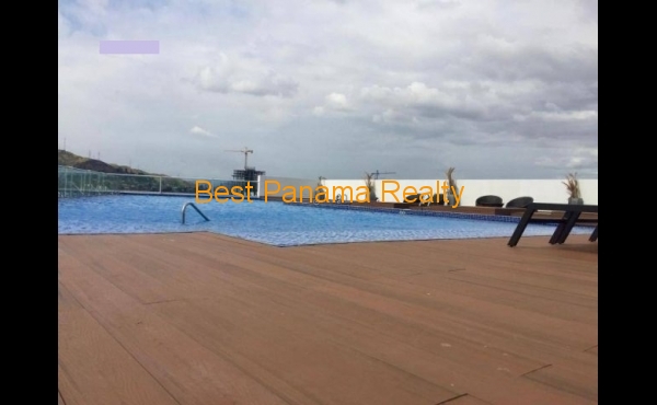 12154101_967faf 12154101_967faf