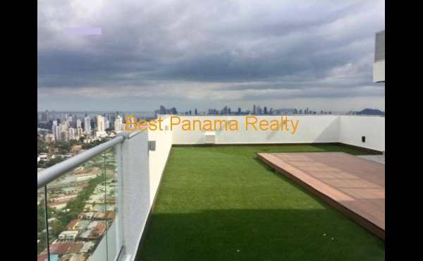 12154101_ff1b16 12154101_ff1b16