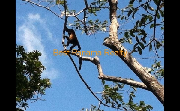 0cd52f73-2527-4bde-90e2-48d265e9b343 0cd52f73-2527-4bde-90e2-48d265e9b343