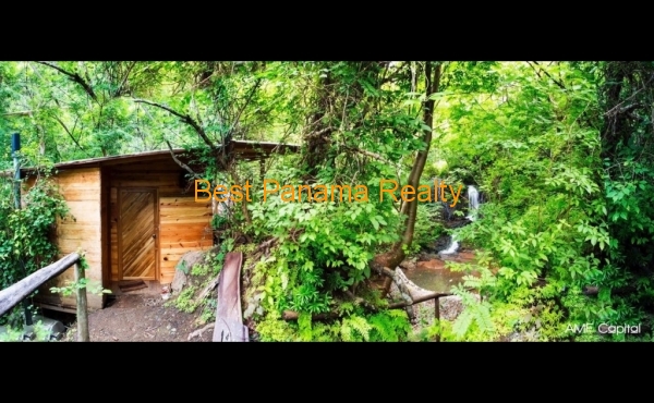 1c2dd5bc-31d6-491b-b403-094053bb1058 1c2dd5bc-31d6-491b-b403-094053bb1058