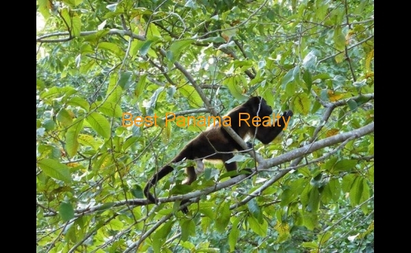 59baf59b-715c-472c-b57b-2f78d477a4cf 59baf59b-715c-472c-b57b-2f78d477a4cf