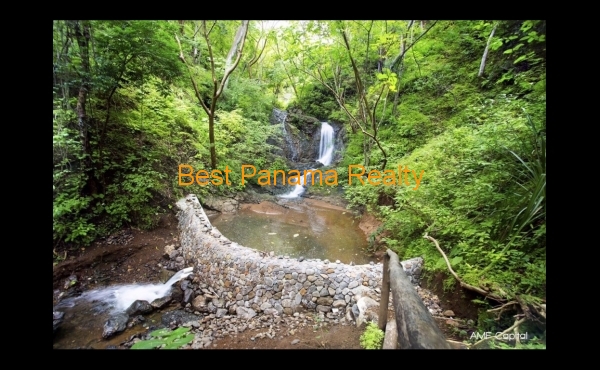 8622cb68-8e88-4276-834d-19d24acc45e9 8622cb68-8e88-4276-834d-19d24acc45e9