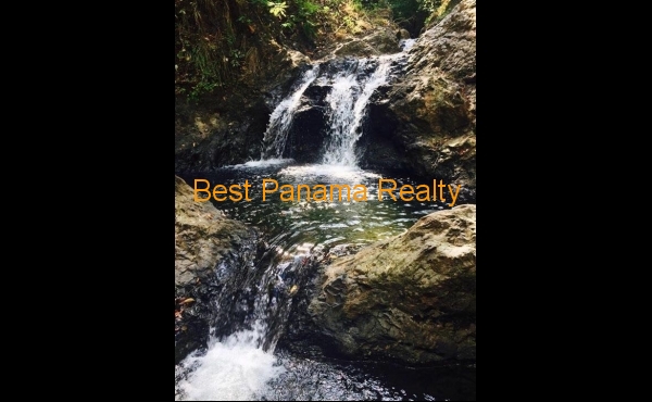 c2aa58a8-13f7-4efa-8858-940e88b54d50 c2aa58a8-13f7-4efa-8858-940e88b54d50