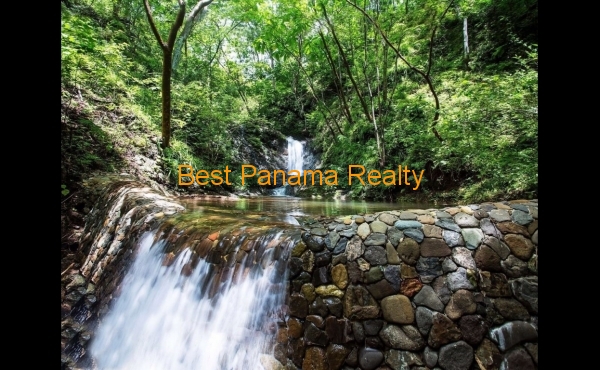 ef2f8b24-4b24-45b6-9ba0-242cf8343c49 ef2f8b24-4b24-45b6-9ba0-242cf8343c49